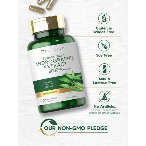 View 5 Hand holding Andrographis Extract 8000MG equivalent Quick Release Capsules, showcasing the product's size and packaging.