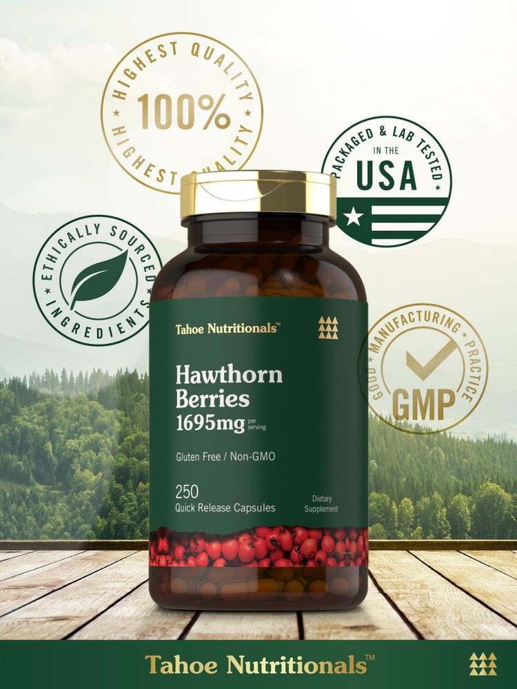 Hand holding Hawthorn Berries 1695mg per serving, 250 Quick Release Capsules with whole berries visible.