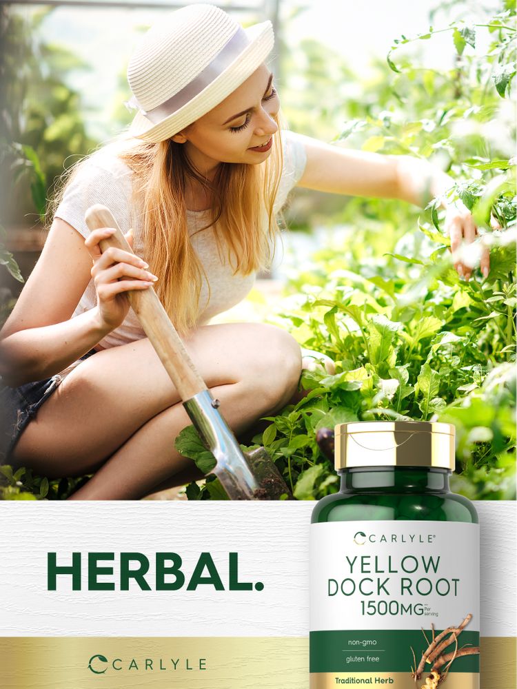 Young woman wearing straw hat gardens among green plants, next to Carlyle Yellow Dock Root 1500mg bottle.