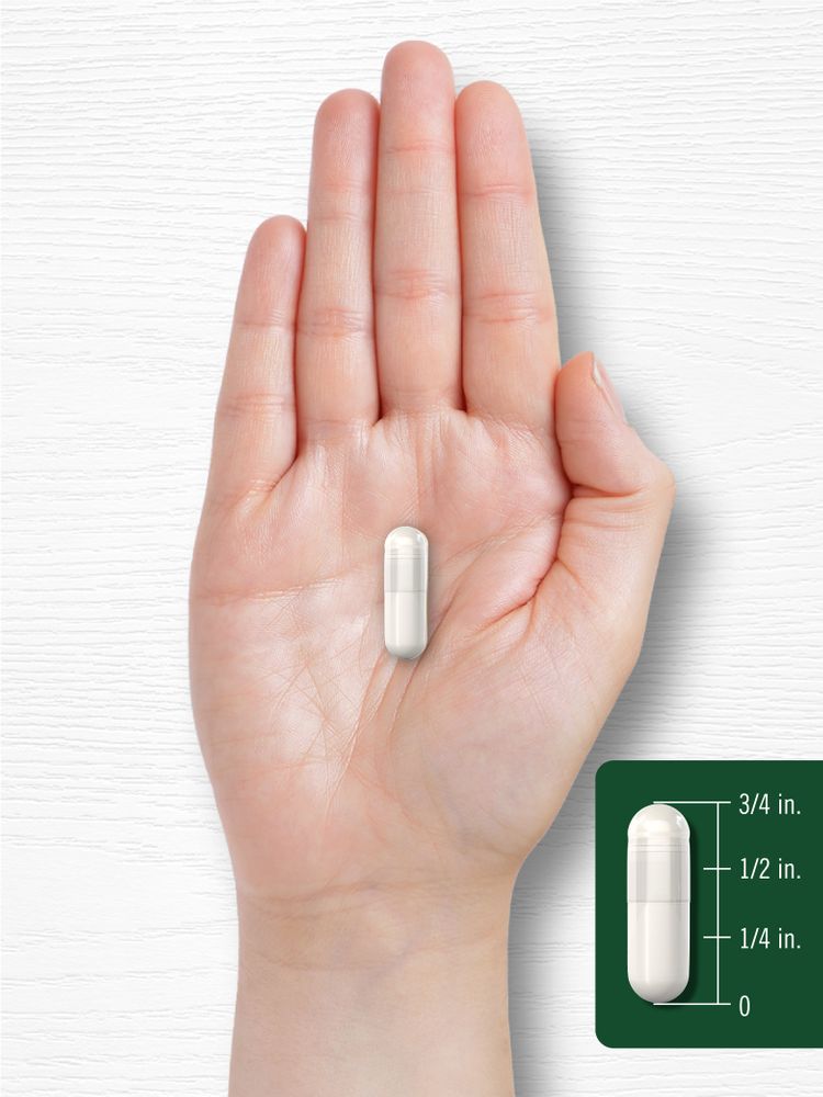 A white capsule measuring three-fourths of an inch in length.
