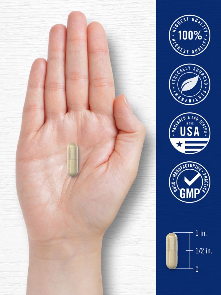 A person holding a 1-inch long capsule in their hand.