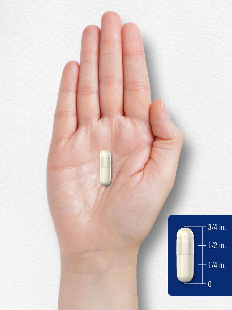 A hand holding a capsule measuring three-quarters of an inch long on a scale, providing precise measurement details.