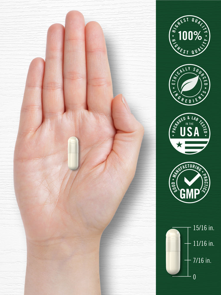An Apple Cider Vinegar capsule rests on a hand, measuring 15/16 inches long for scale.