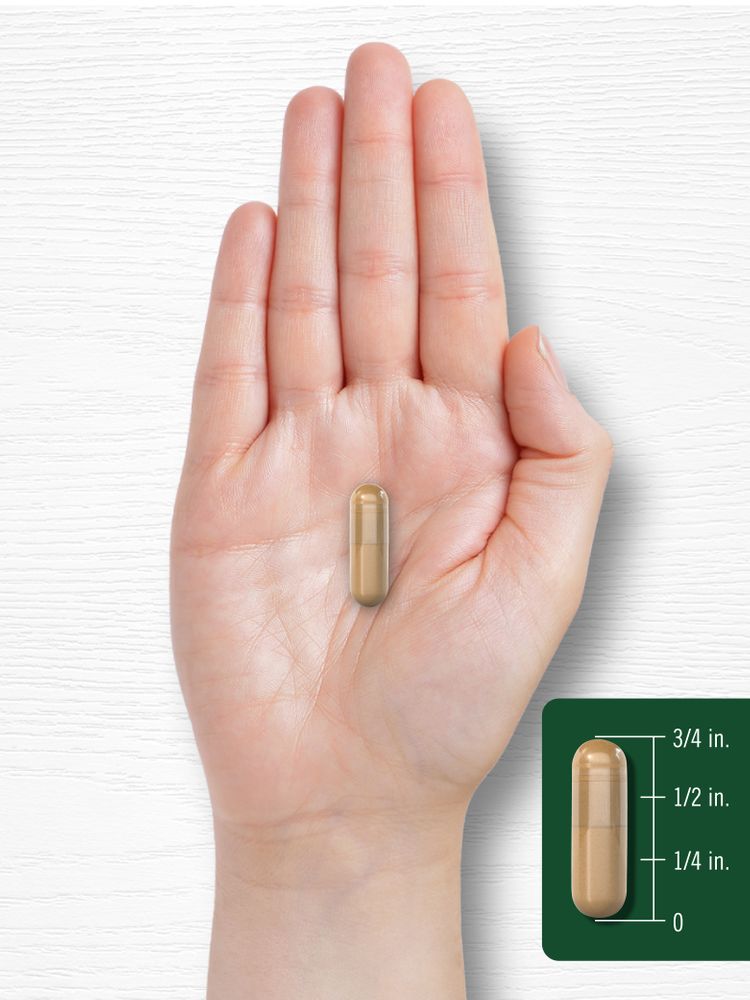 A hand holds a capsule measuring three-fourths of an inch in length, illustrating scale.