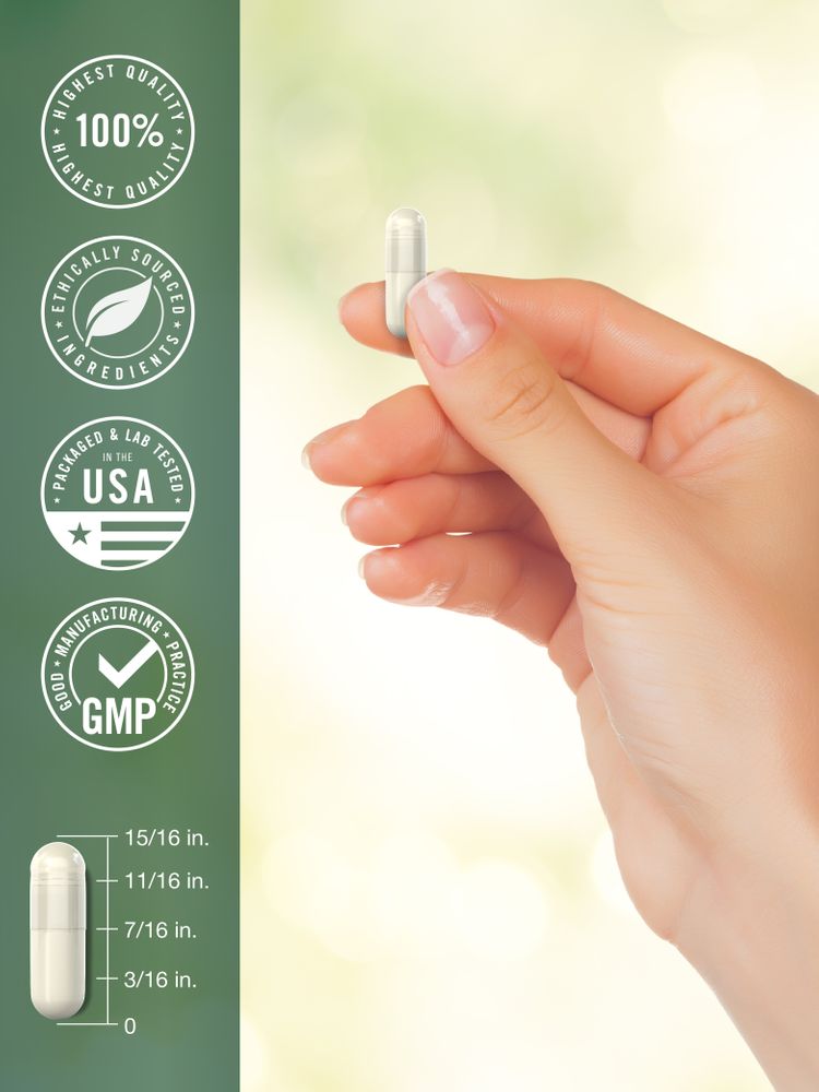A hand holds an Apple Cider Vinegar capsule, measuring 15/16 inches in length.