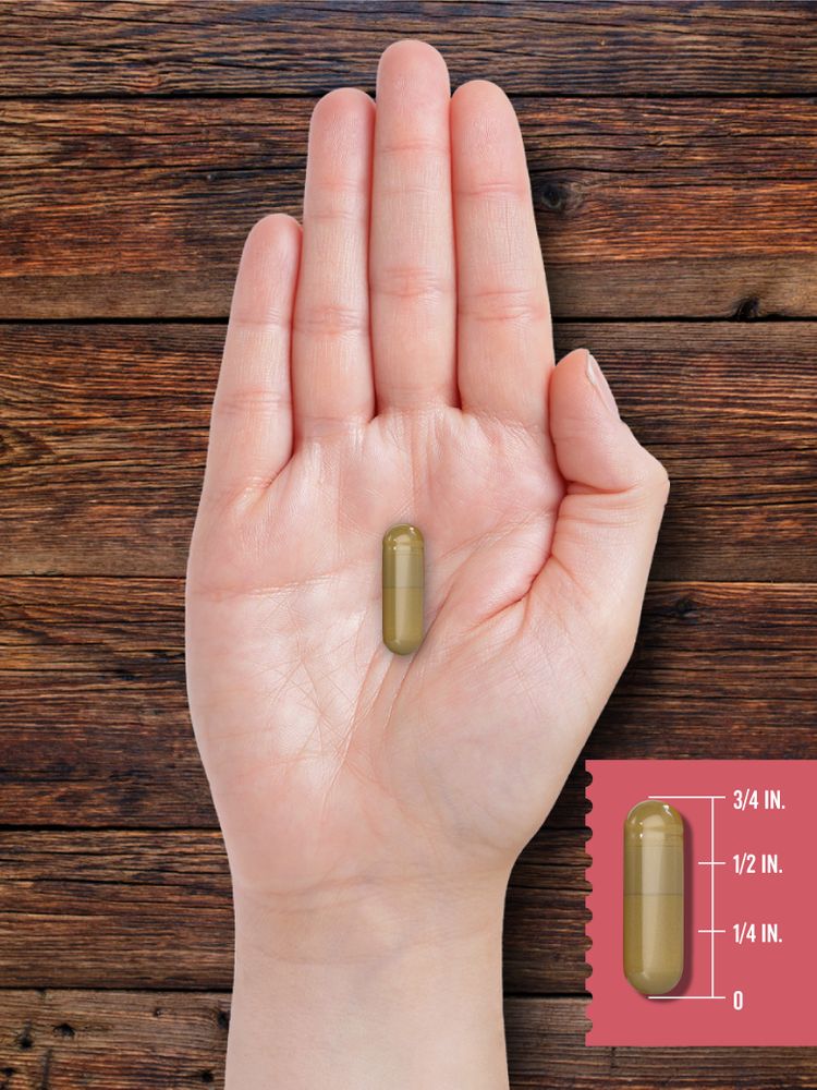 A capsule measuring three-fourths of an inch long, resting on a hand scale, provides an example of size for reference.