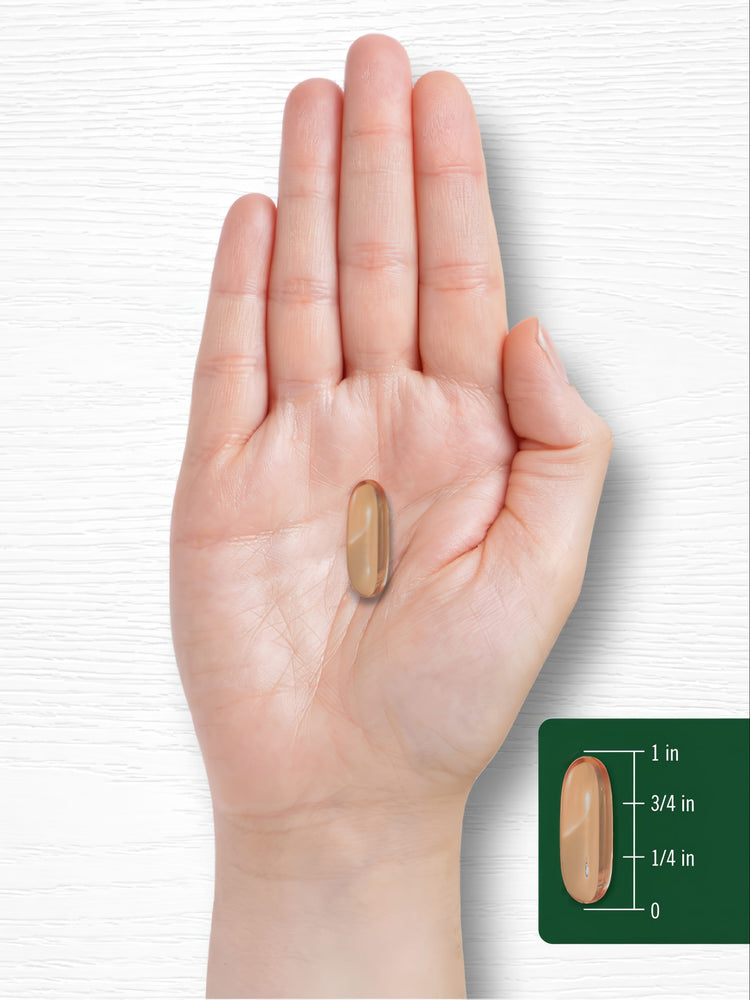 A softgel measuring 1 inch long placed beside a measurement scale, showcasing size comparison and highlighting precise dimensions.