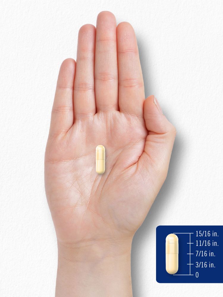 A light yellow capsule placed on a hand scale, measuring 15/16 inch long.