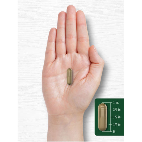 View 7 A hand holds a capsule that measures three-quarters of an inch in length.