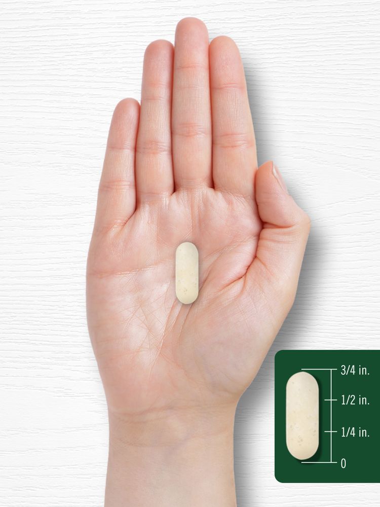 A light-colored oblong caplet, 3/4 inch long, rests in the palm of a hand, illustrating its size.