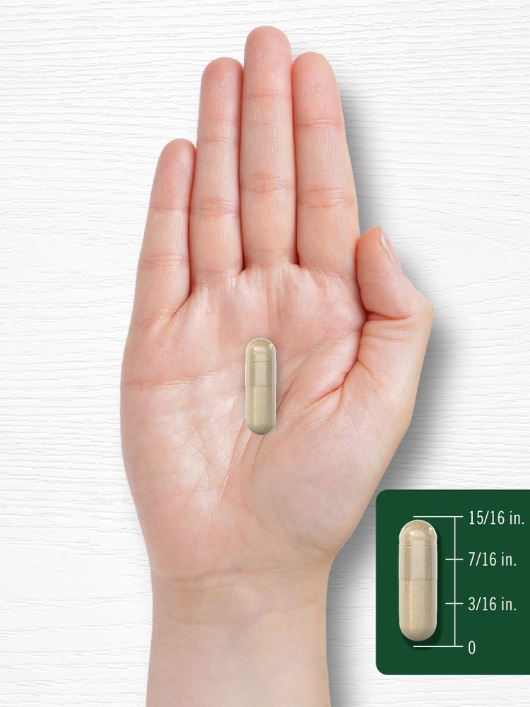 A capsule is held in a hand, measuring nearly one inch long.