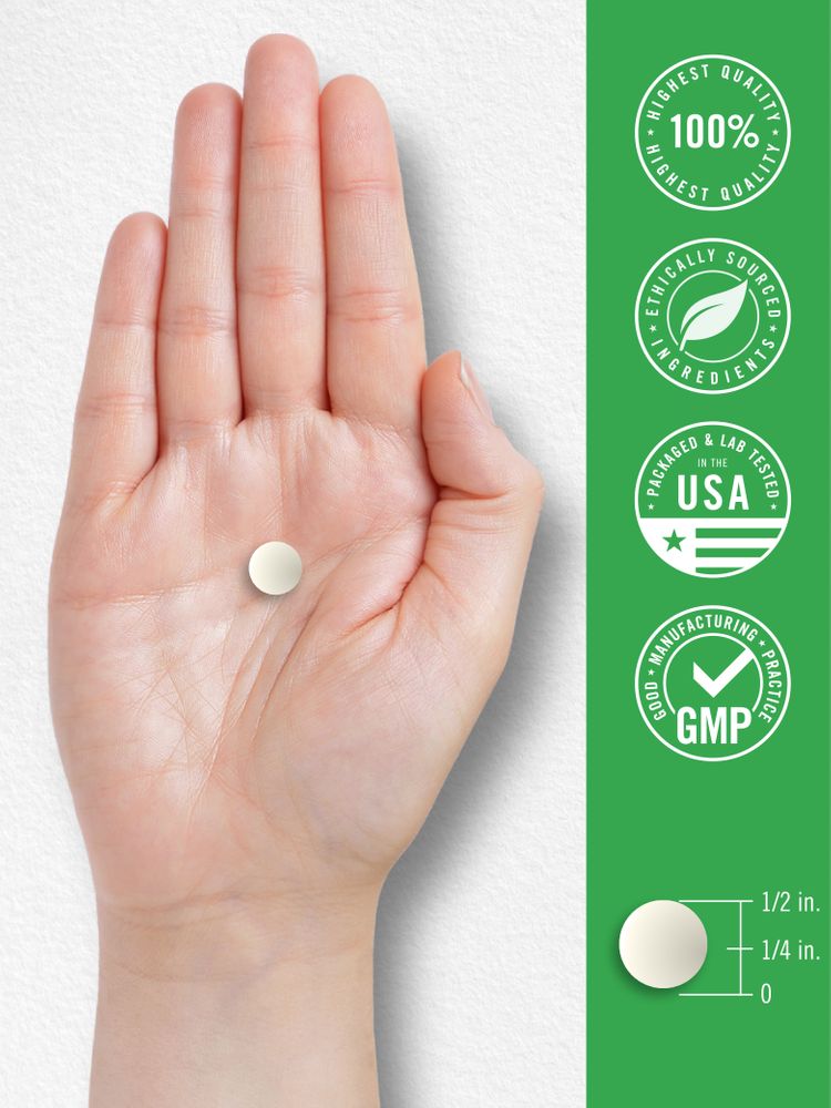 A round tablet, 1/2 inch in diameter and 1/4 inch thick, resting on a person's hand as a scale reference.