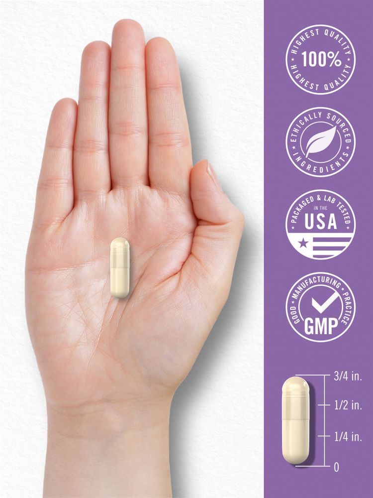 A light beige capsule measuring 3/4 inch long rests on a hand.