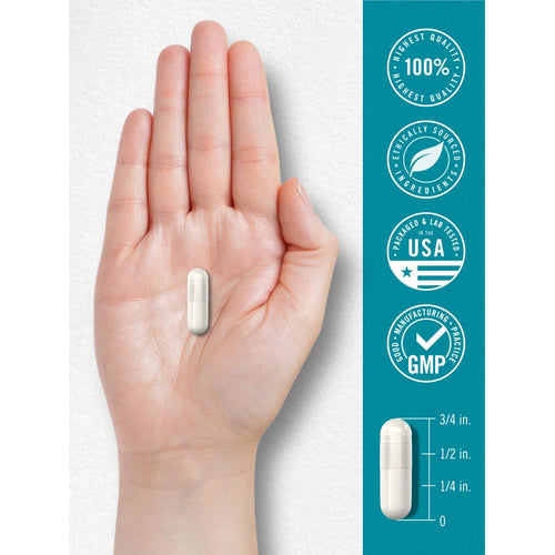 View 7 A white capsule in a person's hand, accompanied by an infographic illustrating the capsule's 3/4 inch length.
