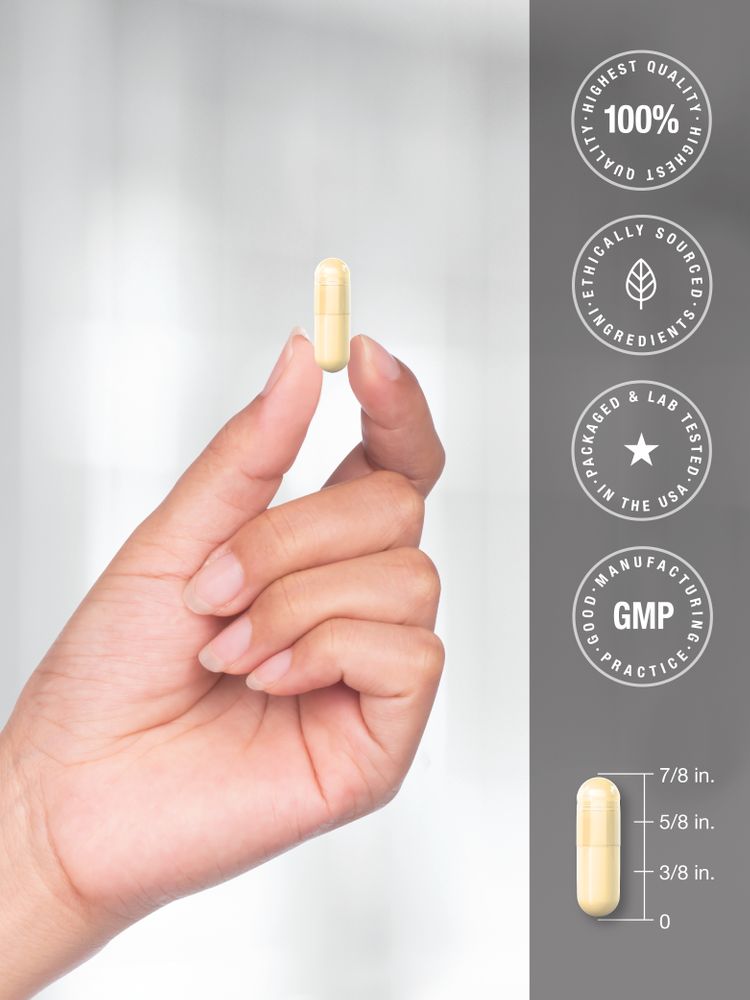 A single capsule measuring seven-eighths inch long is displayed next to a hand for scale in the image.