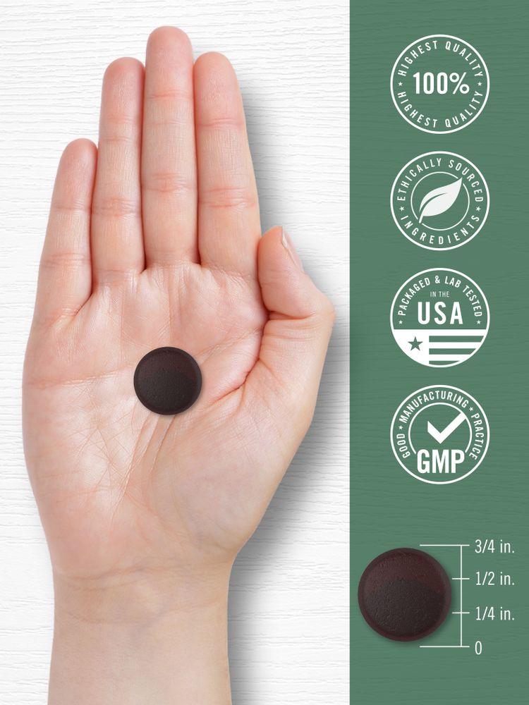 Carlyle Mushroom gummy, shown on a bulk scale, measures approximately 3/4 inch in diameter and 3/8 inch tall.