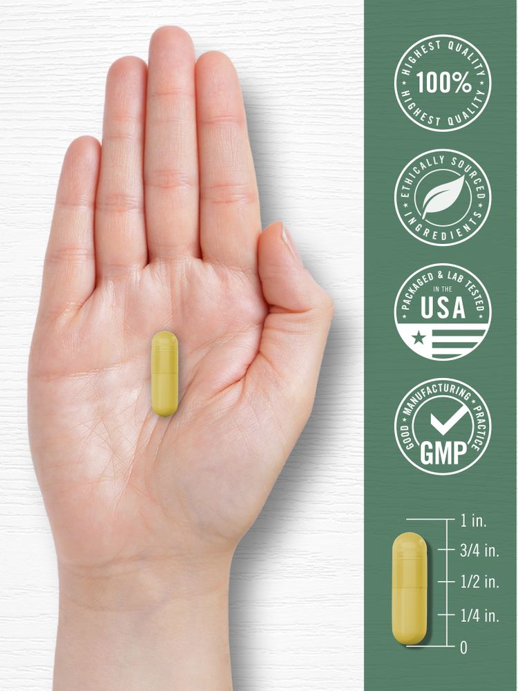 A yellow capsule rests on a hand, with a scale indicating it is three-quarters of an inch long.