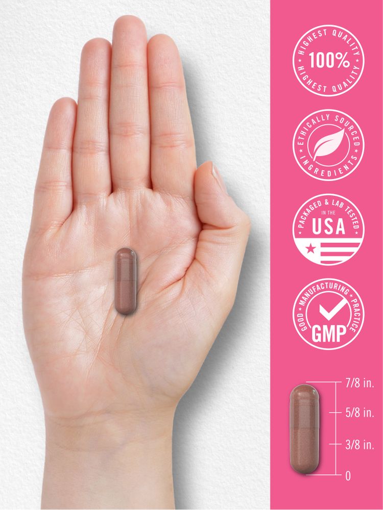 A brown capsule is shown, measuring 7/8 inches in length, resting on a hand scale for size comparison.