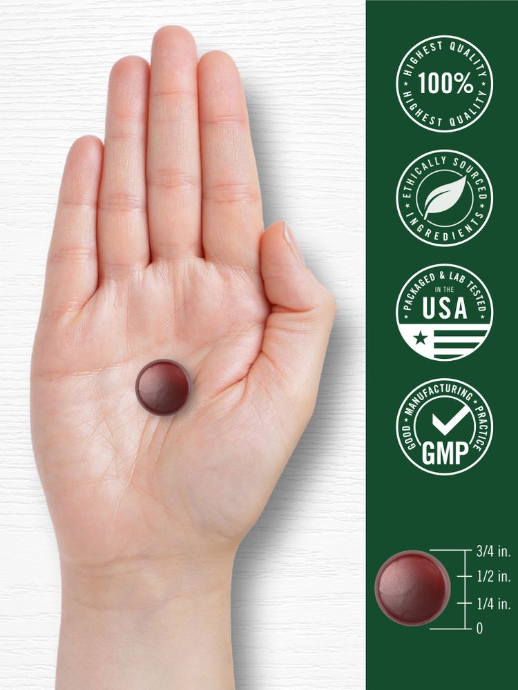 A hand holding a 3/4 inch round, reddish-brown gummy.