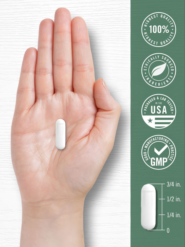 A white capsule rests on a hand, with a scale showing the capsule's length as three-quarters of an inch.