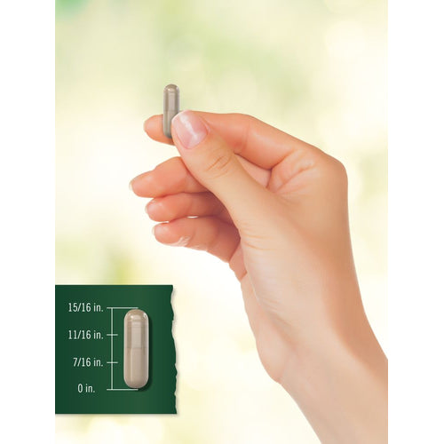 View 8 A capsule measures approximately 15/16 inches long on a hand scale for size comparison.