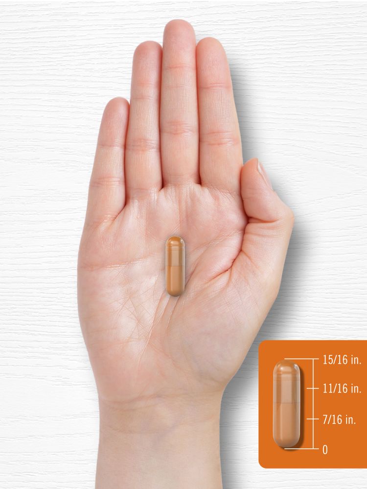 A vegetarian capsule measures 15/16 inches on a hand scale.