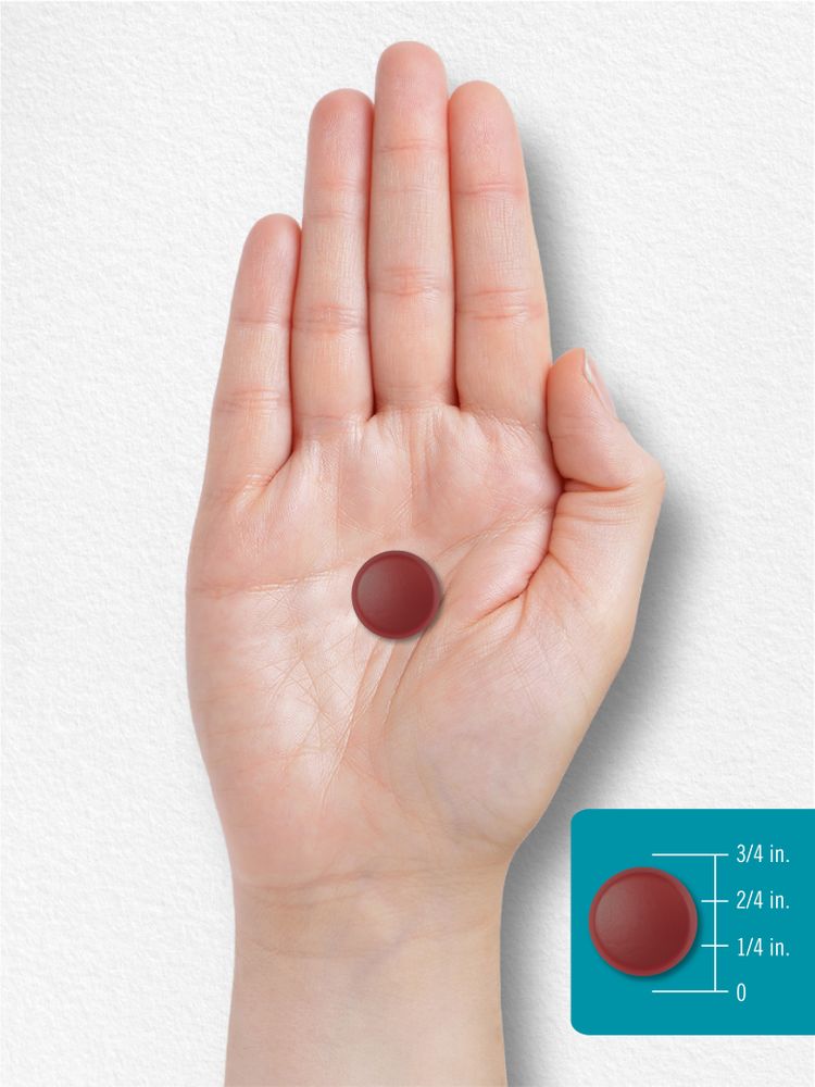 A single gummy rests on a hand, 3/4 inch in diameter, providing a clear sense of size and texture.
