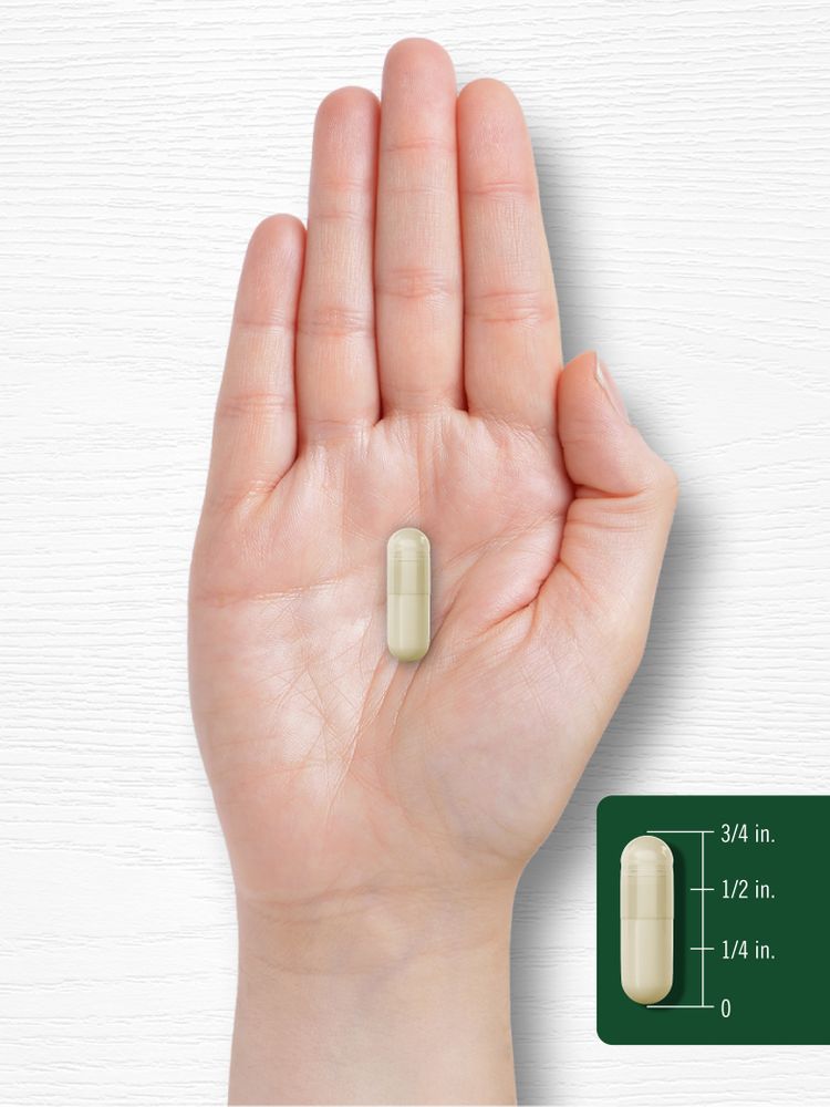 A light beige capsule is displayed on a scale, measuring 3/4 inch long.