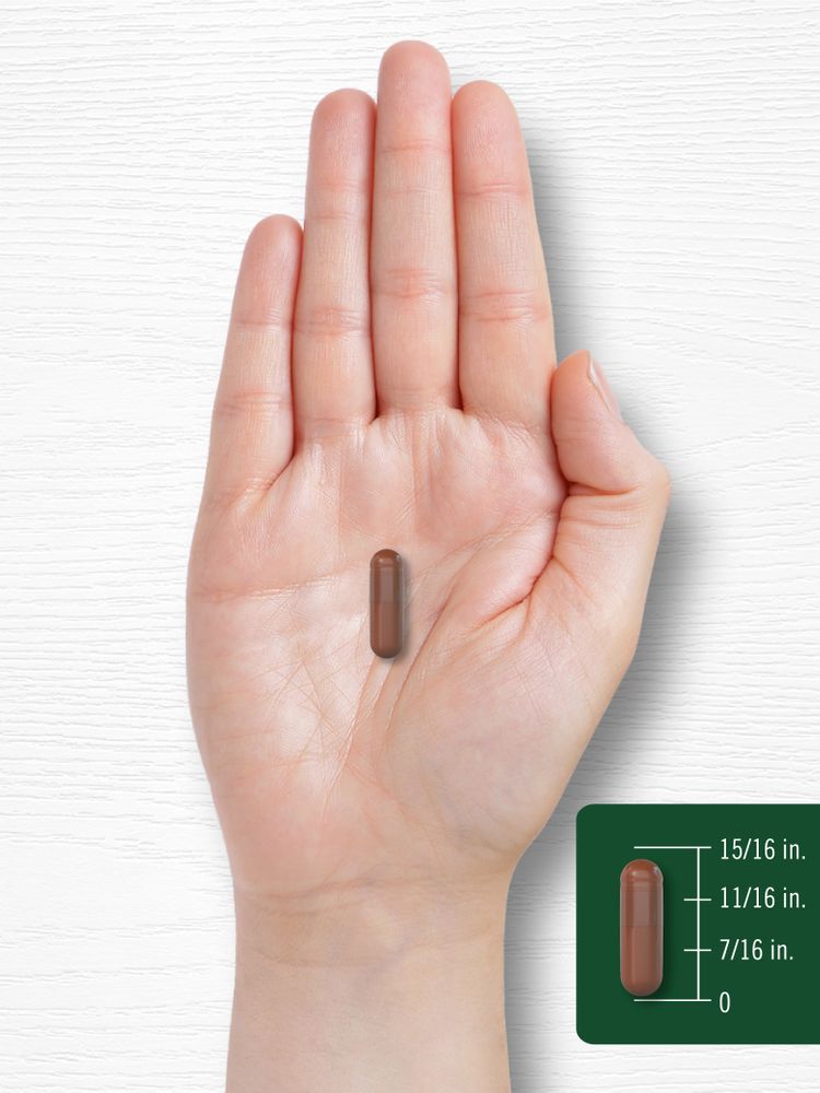 A brown capsule rests on a hand with a graphic showing its length as 15/16 inches.