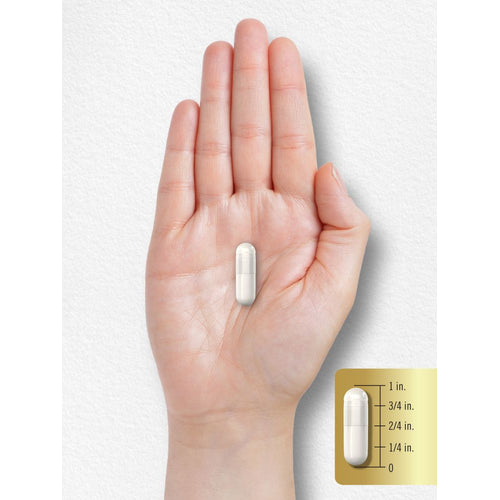 View 8 A white capsule is placed next to a ruler, showing that it measures 1 inch in length.