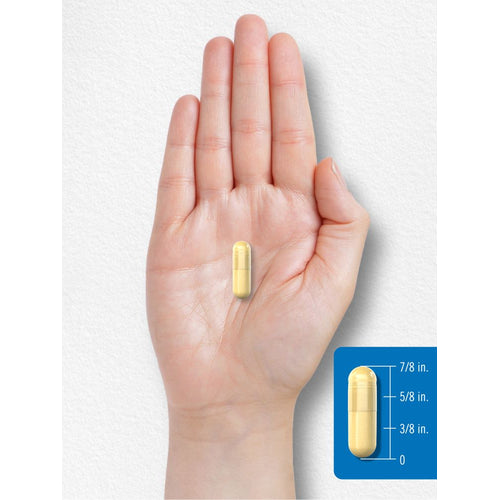 View 8 A light yellow capsule in hand shows a measurement scale indicating it is 7/8 inch long.