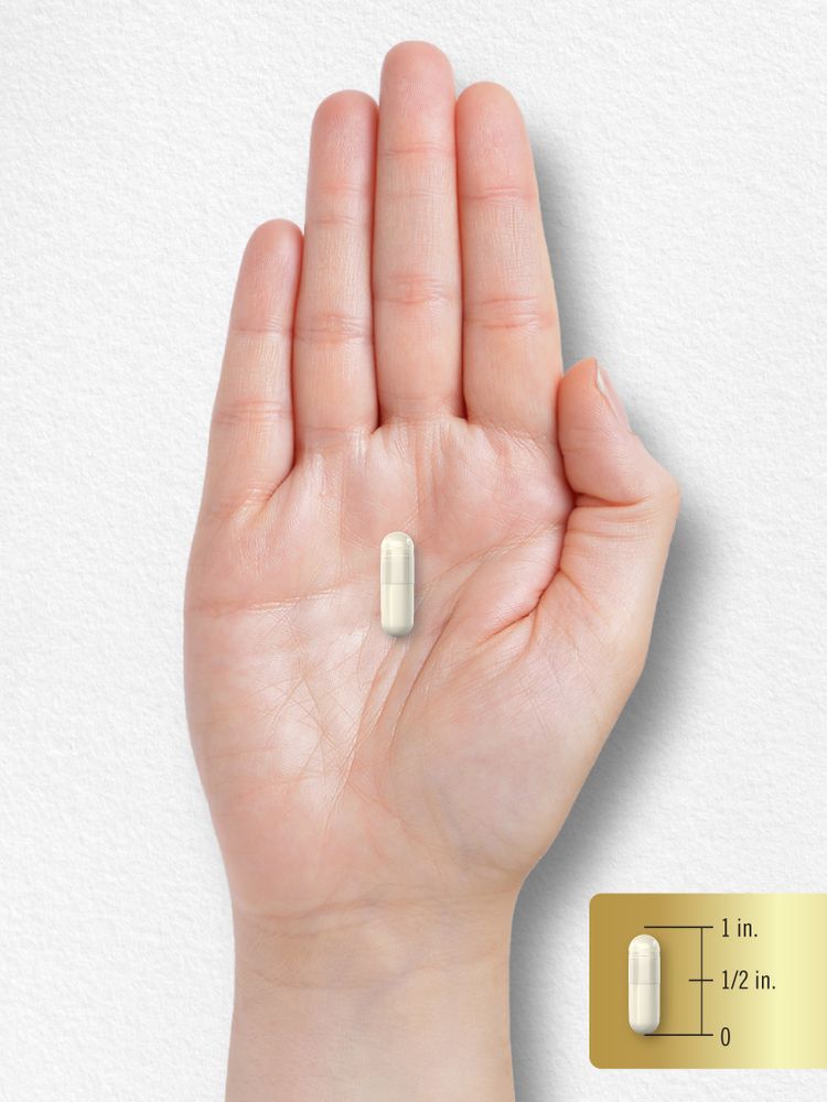 A white capsule resting on a hand, with a scale indicating the capsule is 1 inch in length.