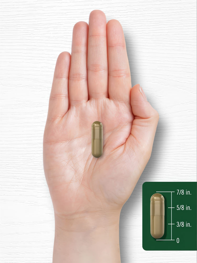 A person holding a hand scale next to a capsule measuring seven-eighths of an inch, demonstrating the capsule's size.