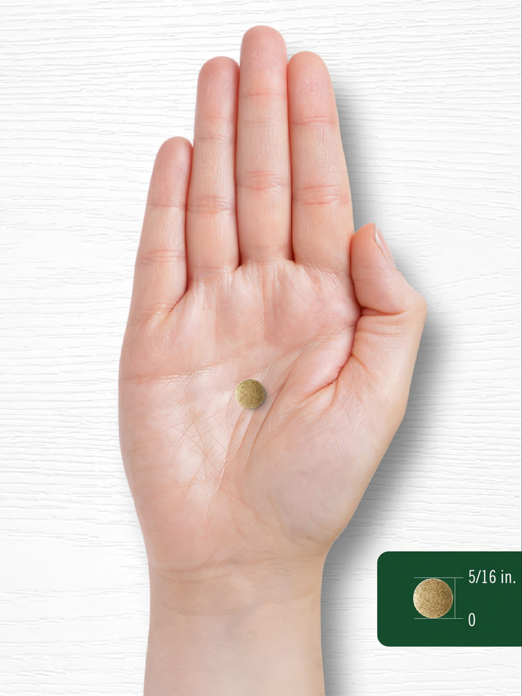 Round Ginkgo Biloba tablet measuring 5/16 inch.