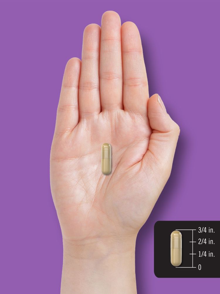 A light brown capsule, 3/4 inch long, displayed on a hand scale for measurement.
