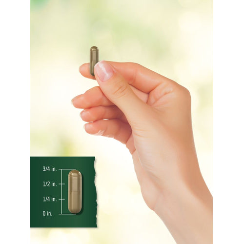 View 8 A hand holds a capsule measuring 1/2 inch long on a bulk scale.