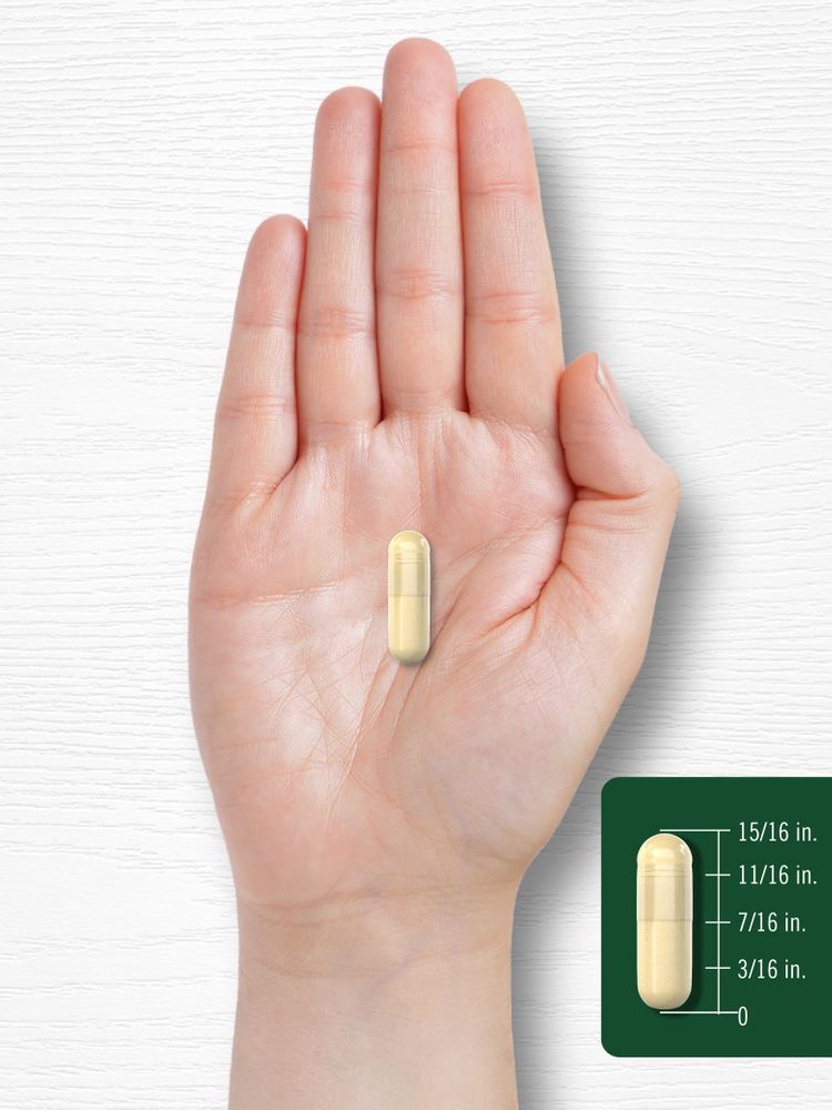 A light yellow capsule rests on a hand, measuring 15/16 inches in length.