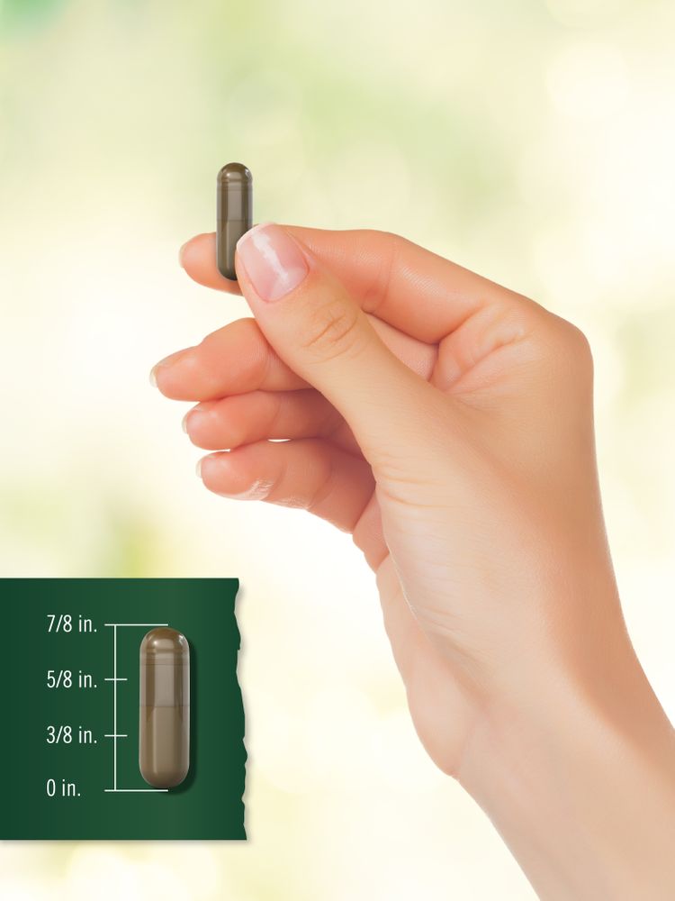 A 7/8 inch long capsule placed on a hand scale showcasing its size and bulk appearance.