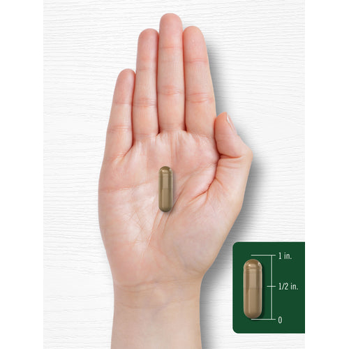View 8 A translucent brownish-gold capsule, approximately 3/4 inch long, is held in an open hand.