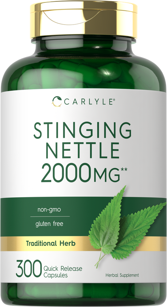 Carlyle Stinging Nettle 2000MG Quick Release Capsules, 300 count, shown in a green bottle on hand scale.
