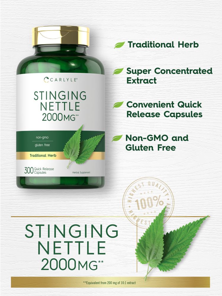 Bottle of Stinging Nettle 2000mg with 300 quick-release capsules displayed on a hand scale.