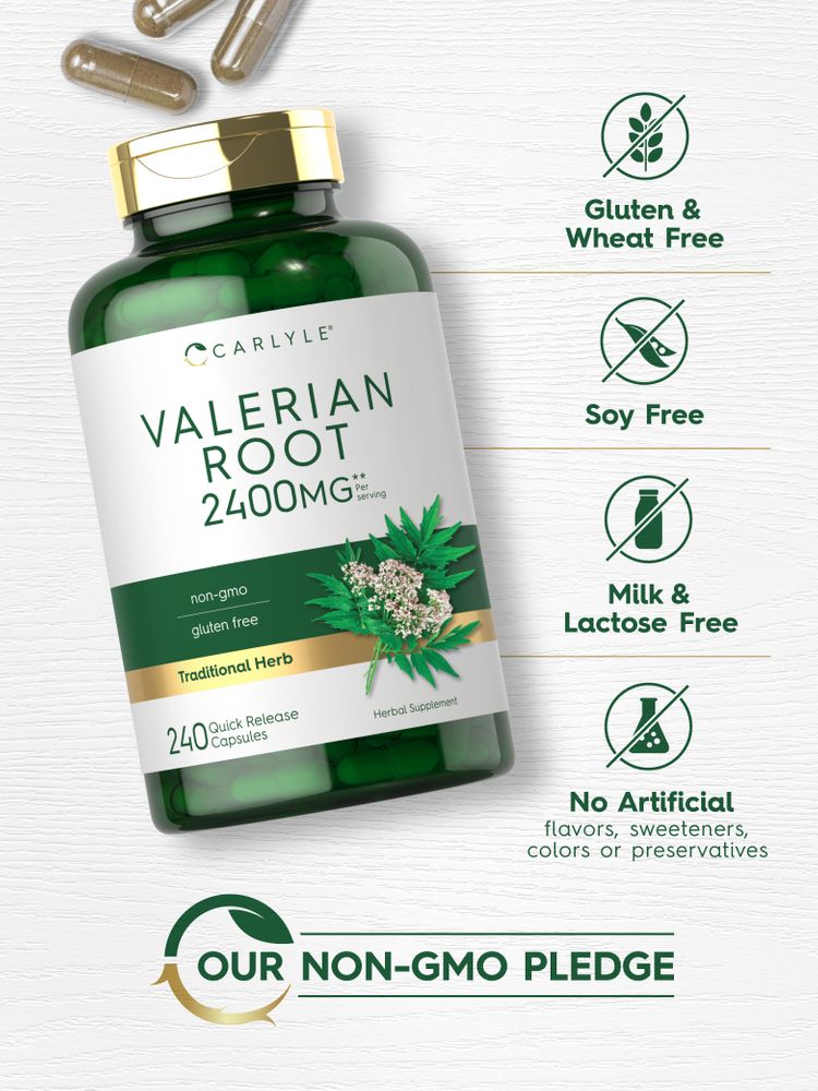 Hand holds Valerian Root 2400 mg quick release capsules, emphasizing natural stress relief.