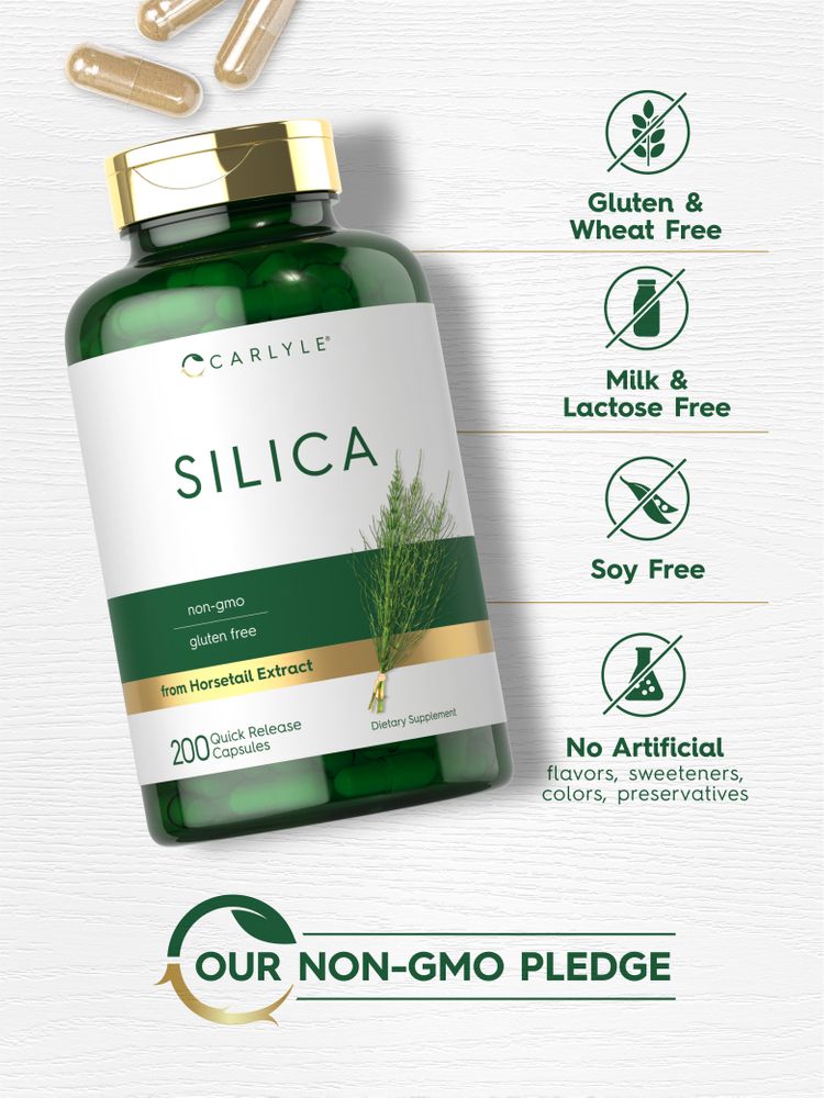 A hand holding a scale with Silica 500 mg Quick Release Capsules, ideal for supplement enthusiasts seeking effective dosing.