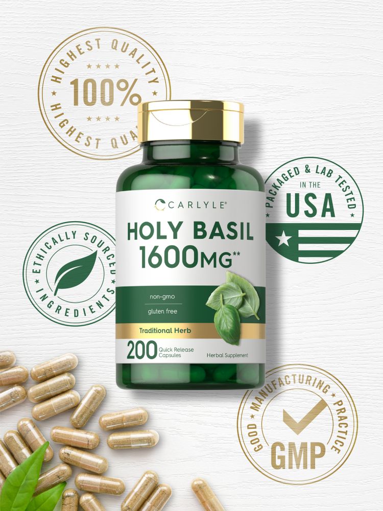 Hand holding Holy Basil 1600 mg Quick Release Capsules, suitable for health and wellness.