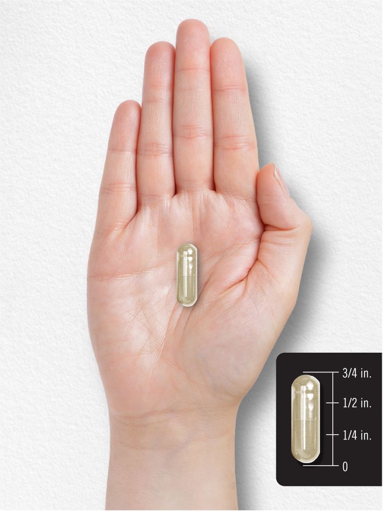 A hand holding a capsule that measures three-quarters of an inch in length.