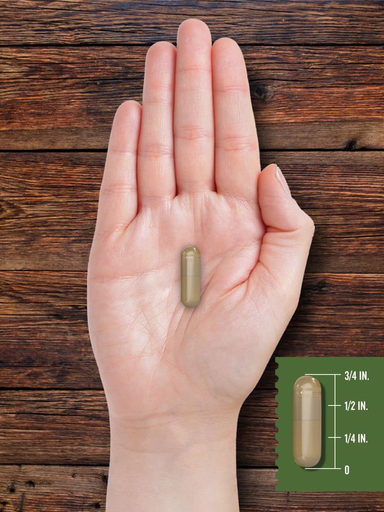 A hand holds a capsule measuring 3/4 inch, showcasing its size.