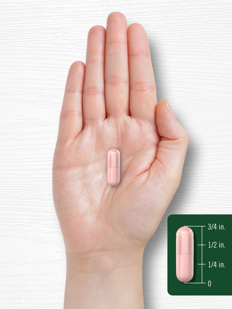 Hand holds a pink capsule, measuring 3/4 inch, shown with a scale graphic.