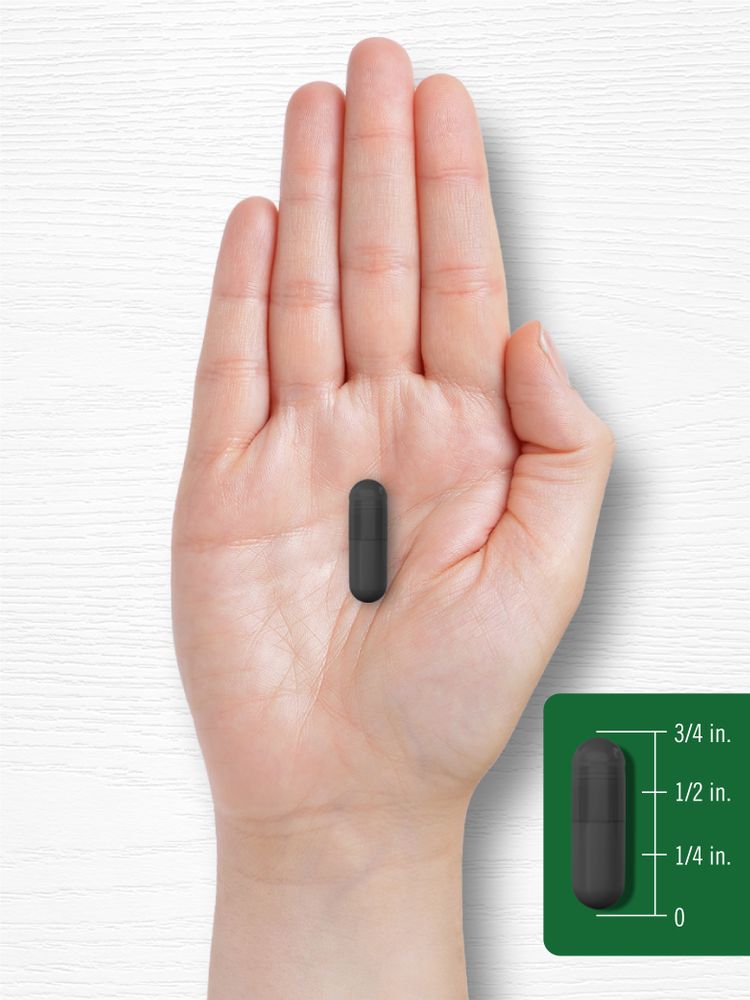 A dark grey capsule is shown measuring three-fourths of an inch on a hand scale.