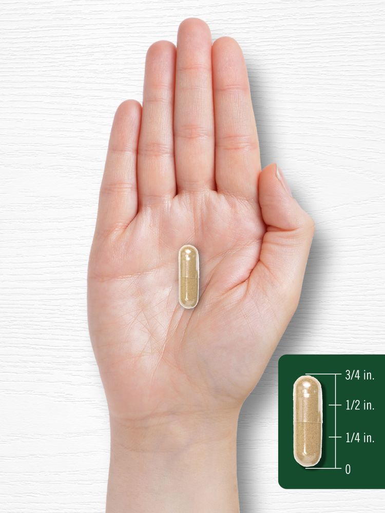 A hand holds a capsule measuring three-quarters of an inch long, demonstrating its size on a bulk scale.