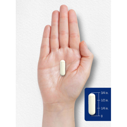 View 7 A hand holds a capsule measuring three-quarters of an inch.